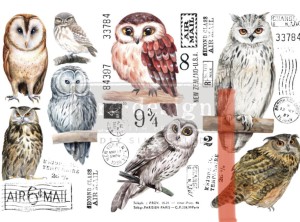 Transfer 3 częściowy Owl