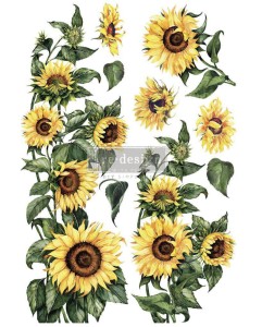 Transfer Sunflower