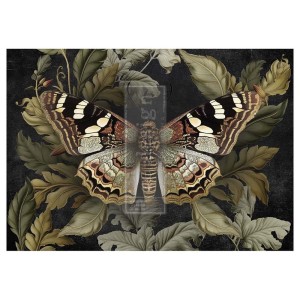 Papier Fiber Butterfly Conservatory Tales 